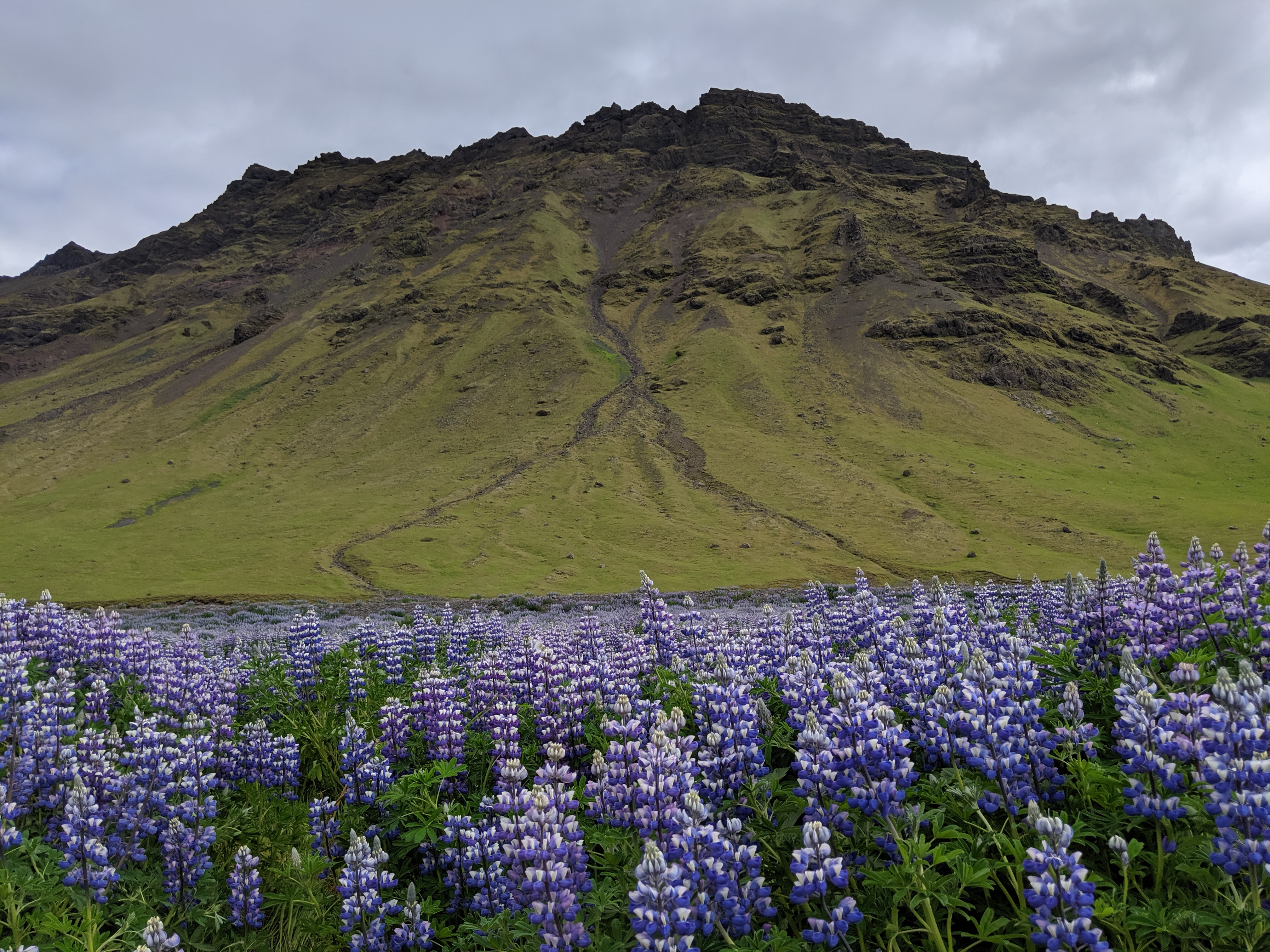 Iceland